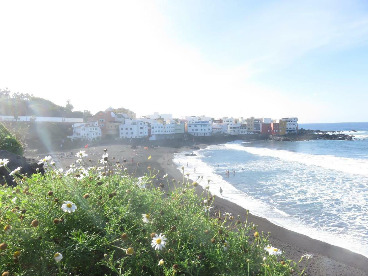 Apartament Centrico Loft En El Puerto De La Cruz Con Wifi Y Cerca De La Playa Zewnętrze zdjęcie